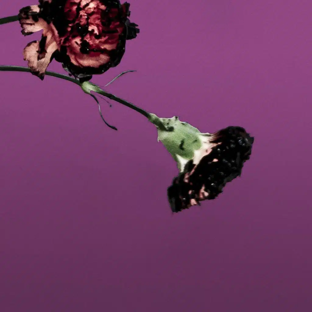 You & I (Nobody in the World) (R3hab Remix - Radio Edit)