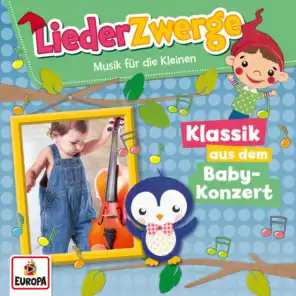 LiederZwerge - Musik aus dem Baby-Konzert