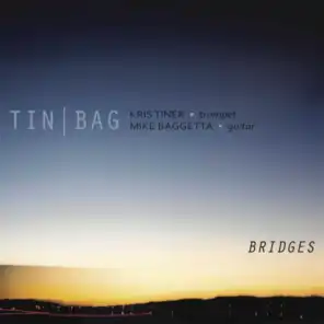 Tin/Bag