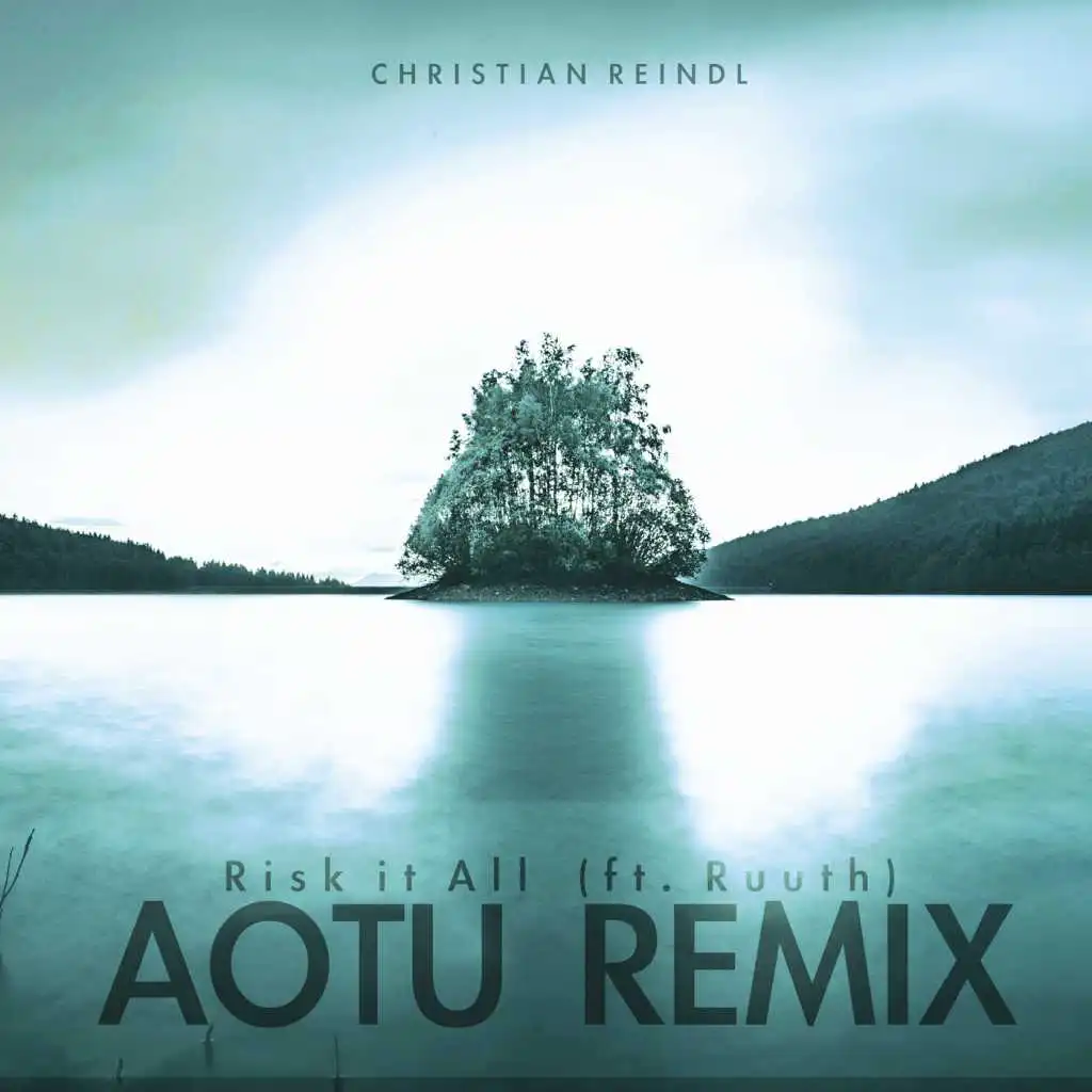 Risk It All (Remix) [feat. Aotu]