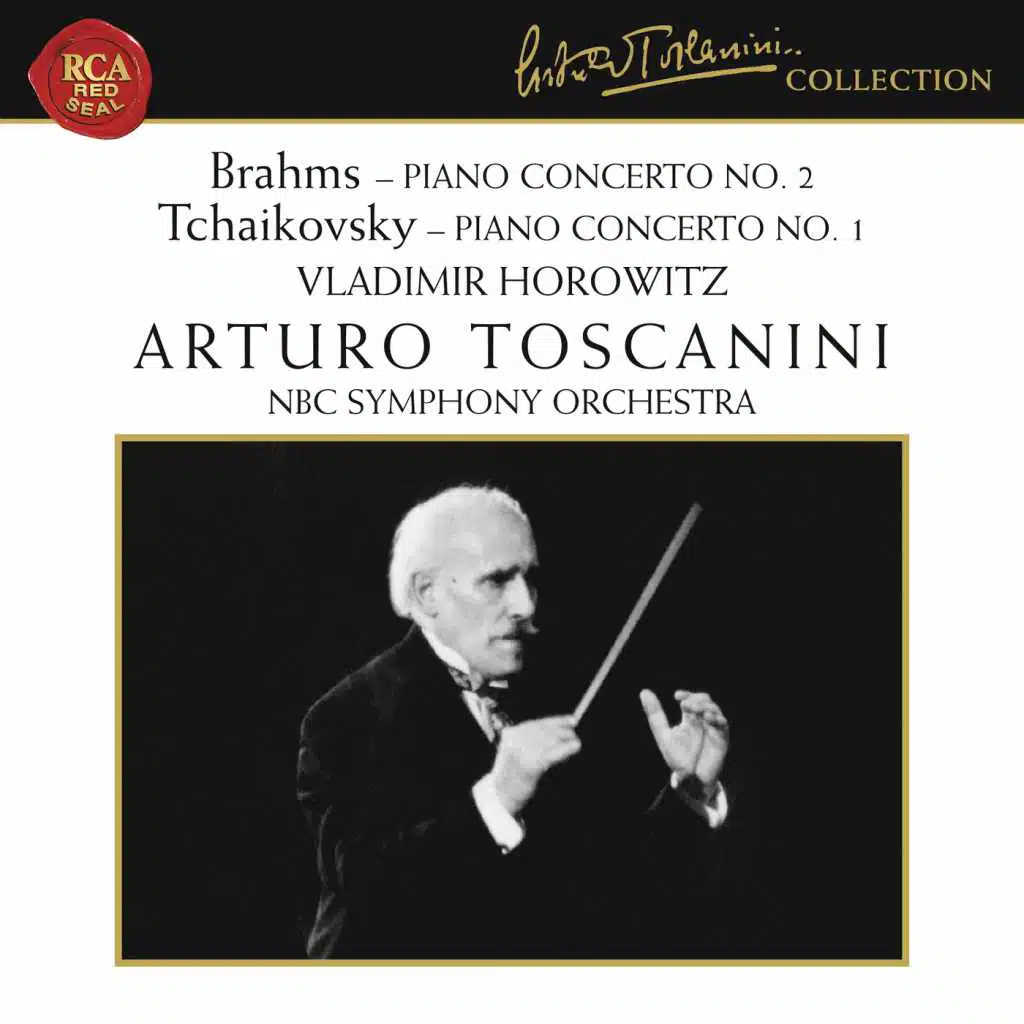 Piano Concerto No. 2 in B-Flat Major, Op. 83: II. Allegro appassionato
