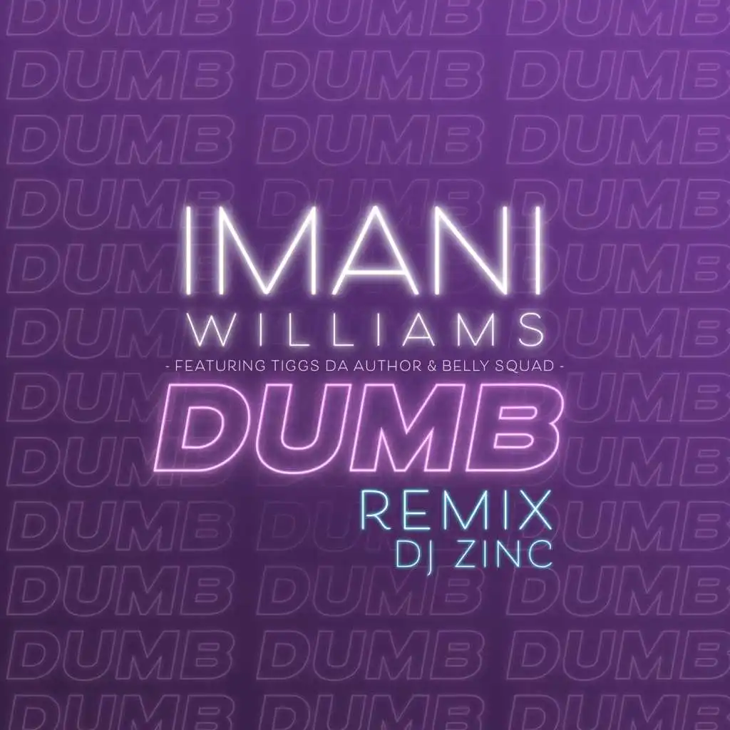 Dumb (DJ Zinc Remix) [feat. Tiggs Da Author & Belly Squad]