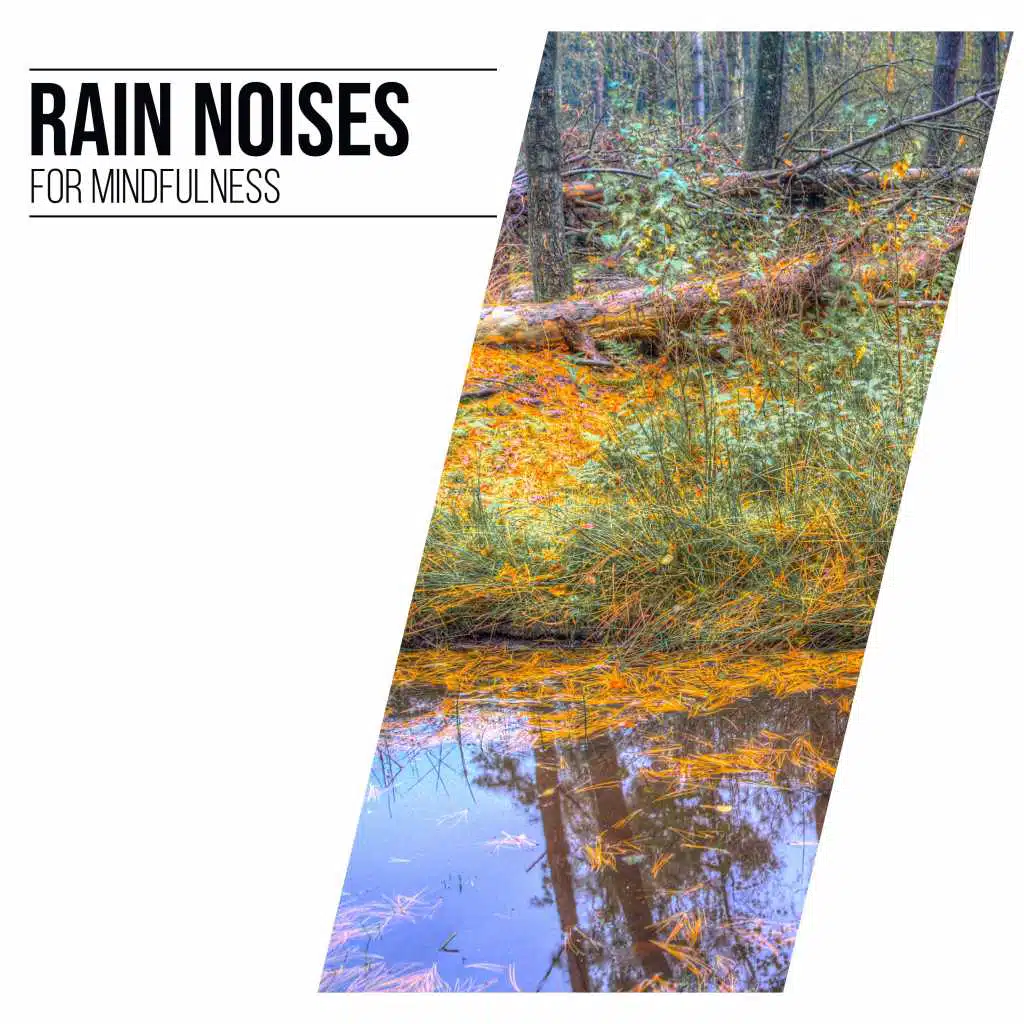 Cascada de Lluvia, Saludo al Sol Sonido Relajante, Sonido Del Bosque  y Naturaleza & Sonido Del Bosque y Naturaleza