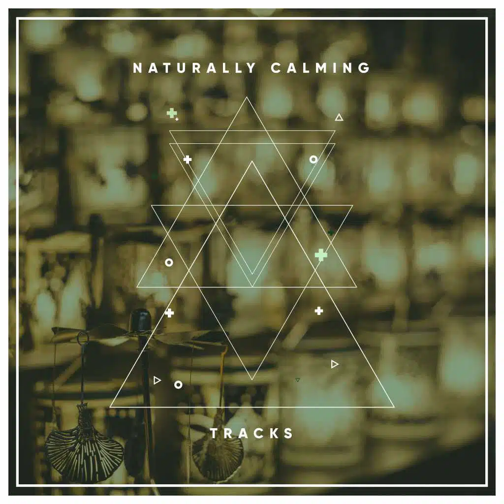 #14 Pistas Naturalmente Calmantes para el Despertar Espiritual