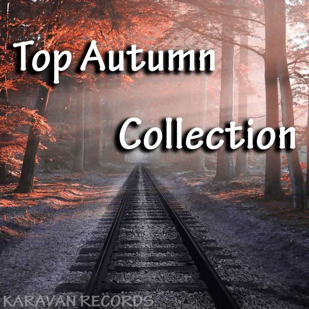 Top Autumn Collection