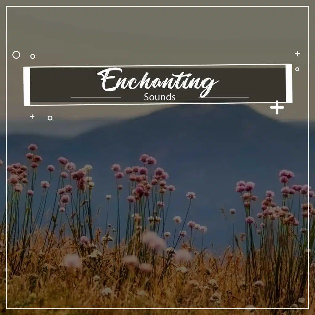 #18 Enchanting Sounds for Zen Relaxation & Meditation