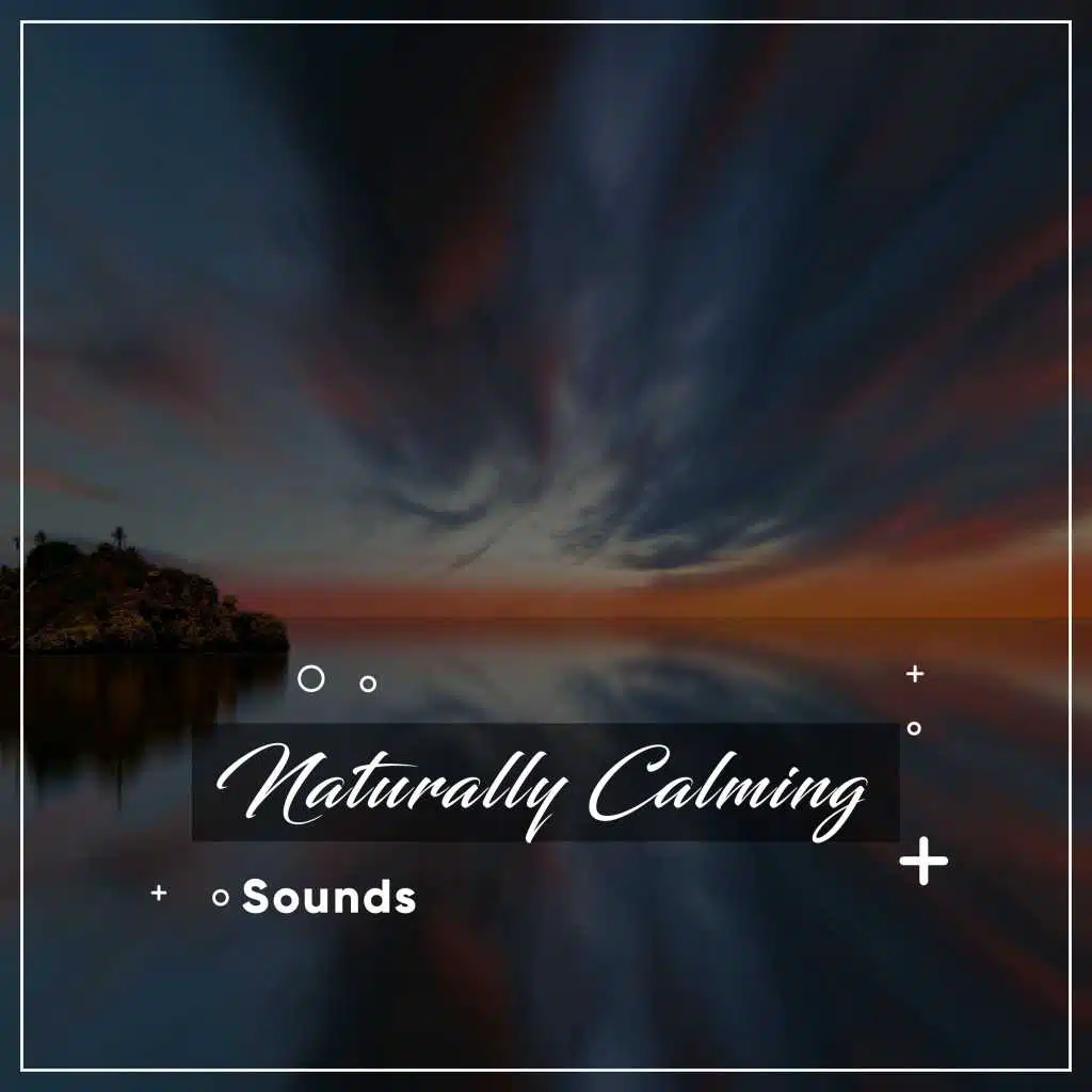 #9 Naturally Calming Sounds for Soothing Spa Experience