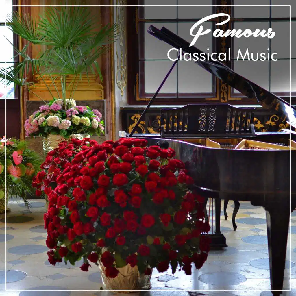 #13 Famous Classical Music