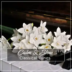 #5 Calm & Slow Classical Tunes