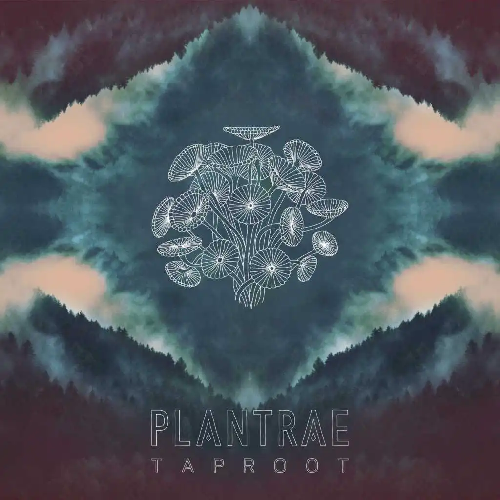 Taproot