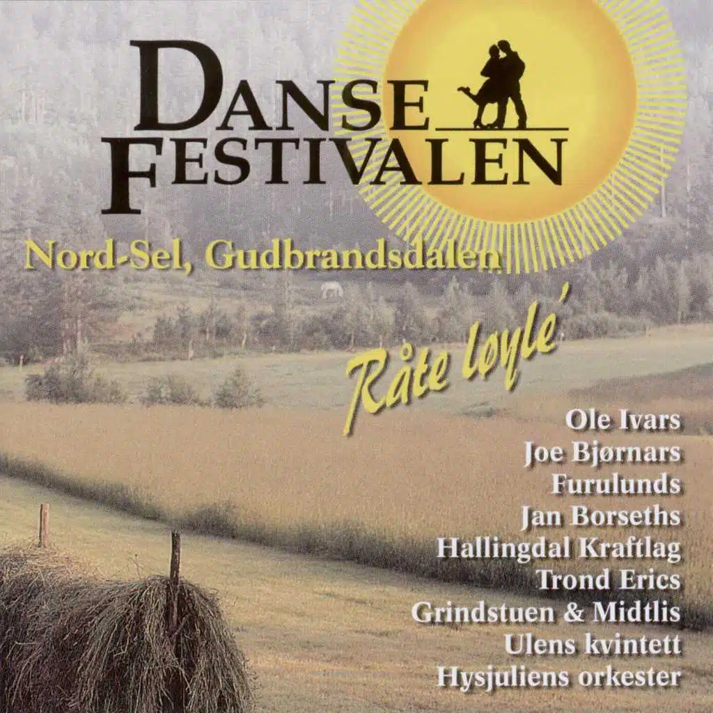 Hilsen Til Dansefestivalen