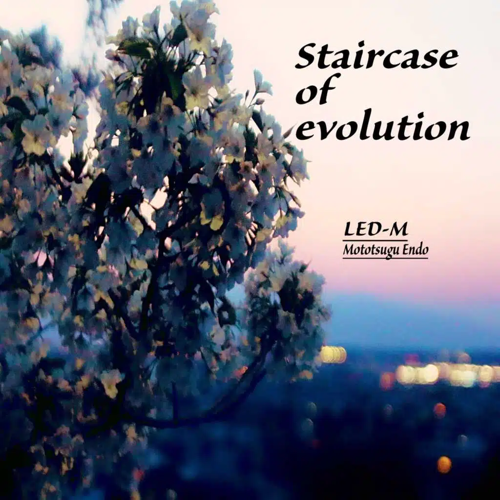 Staircase of Evolution