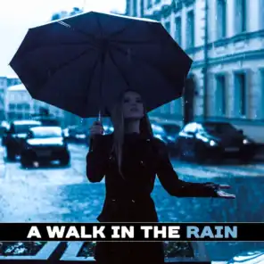 A Walk in the Rain: Soothing Sounds of Nature for Relaxation, Mindfulness Meditation, Best Sleep Aid, Healing Rain for Reiki Therapy, Dreamy Mood