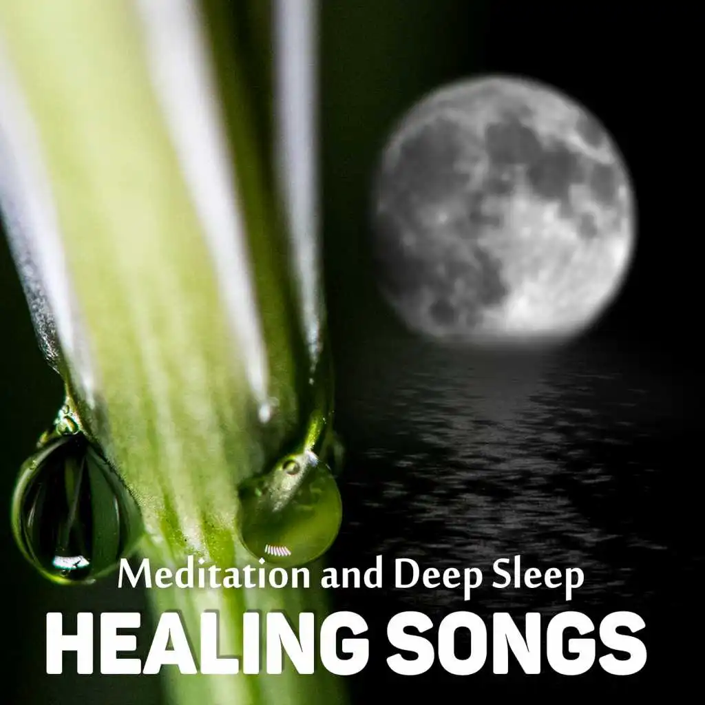 Soothing Sounds for Sleep