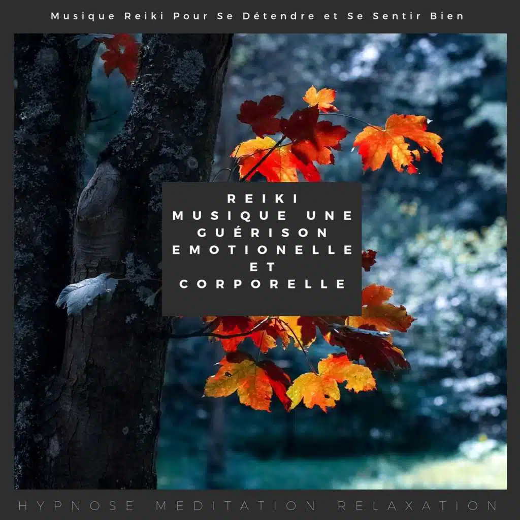 Reiki Musique Une Guérison Emotionelle Et Corporelle (Musique Reiki Pour Se Détendre Et Se Sentir Bien)