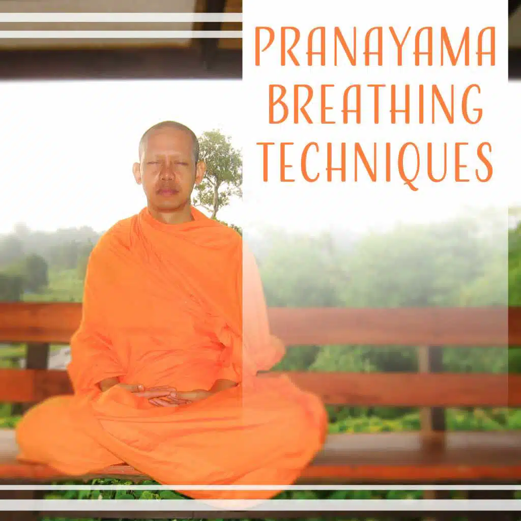 Mind Harmony (Prana Yoga)