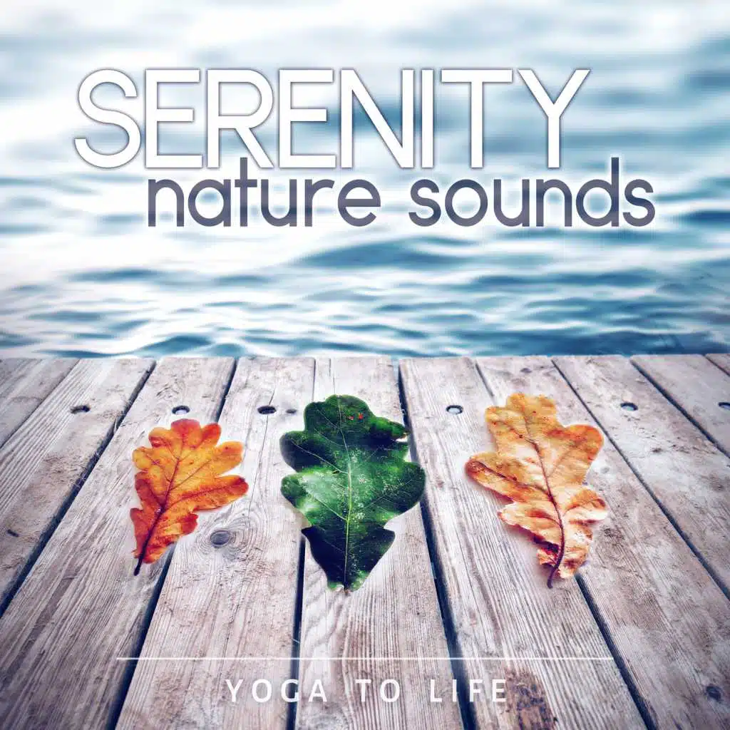 Serenity Nature Sounds: Yoga to Life - Healing Therapy Music for Find Your Inner Peace and Meditation