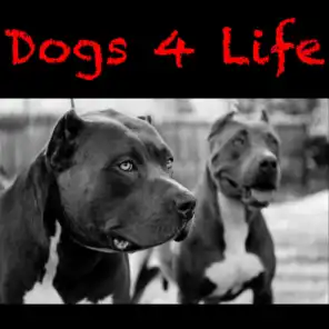 Dogs 4 Life