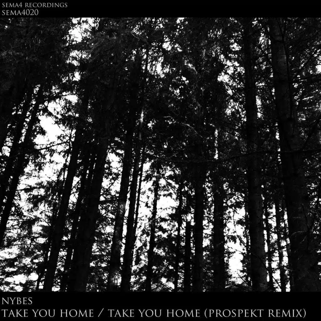 Take You Home