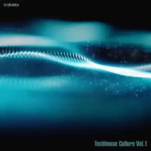 Techhouse Culture, Vol. 1