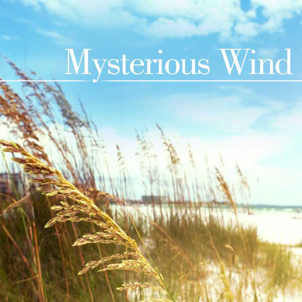 Mysterious Wind: Gentle Sounds of Nature and Instrumental New Age for Mindfulness Meditation, Yoga, Soothing Songs for Trouble Sleeping, Total Relax