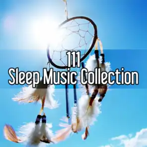 111 Sleep Music Collection: Relaxation Ambient Music Therapy to Reduce Stress Level, Meditation Deep Sleep, Newborn Lullabies for Goodnight, Natural Insomnia Cure