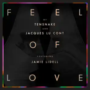 Feel Of Love (feat. Jamie Lidell)