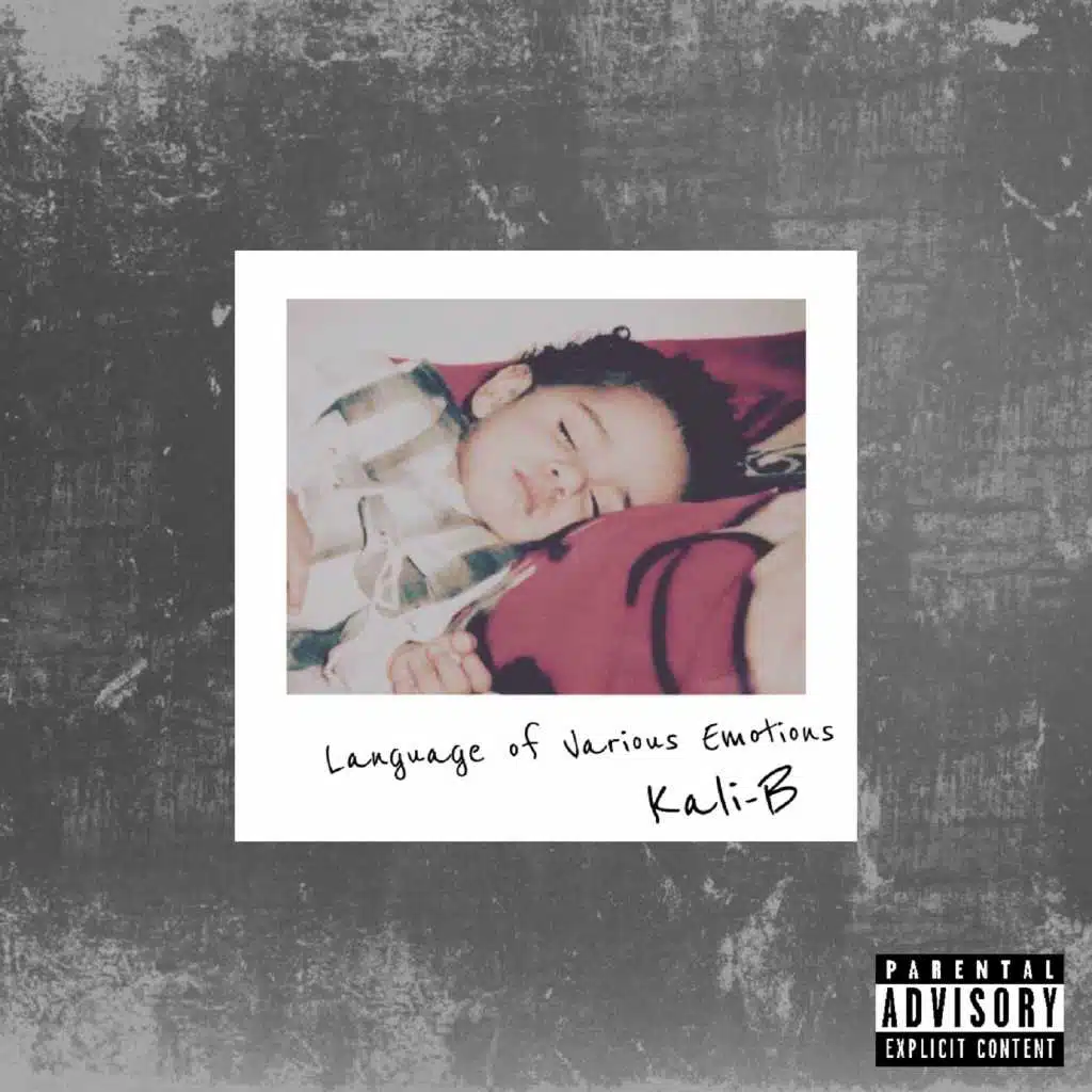 LOVE: Language Of Various Emotions