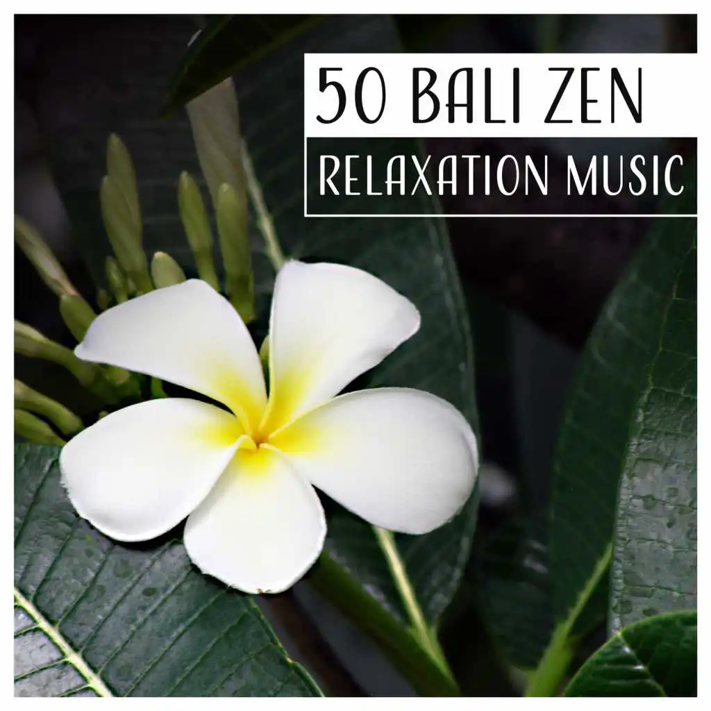 50 Bali Zen: Relaxation Music – Soothing Therapy Sounds for Spa, Wellness & Yoga, Detox, Health, Cleansing, Regeneration