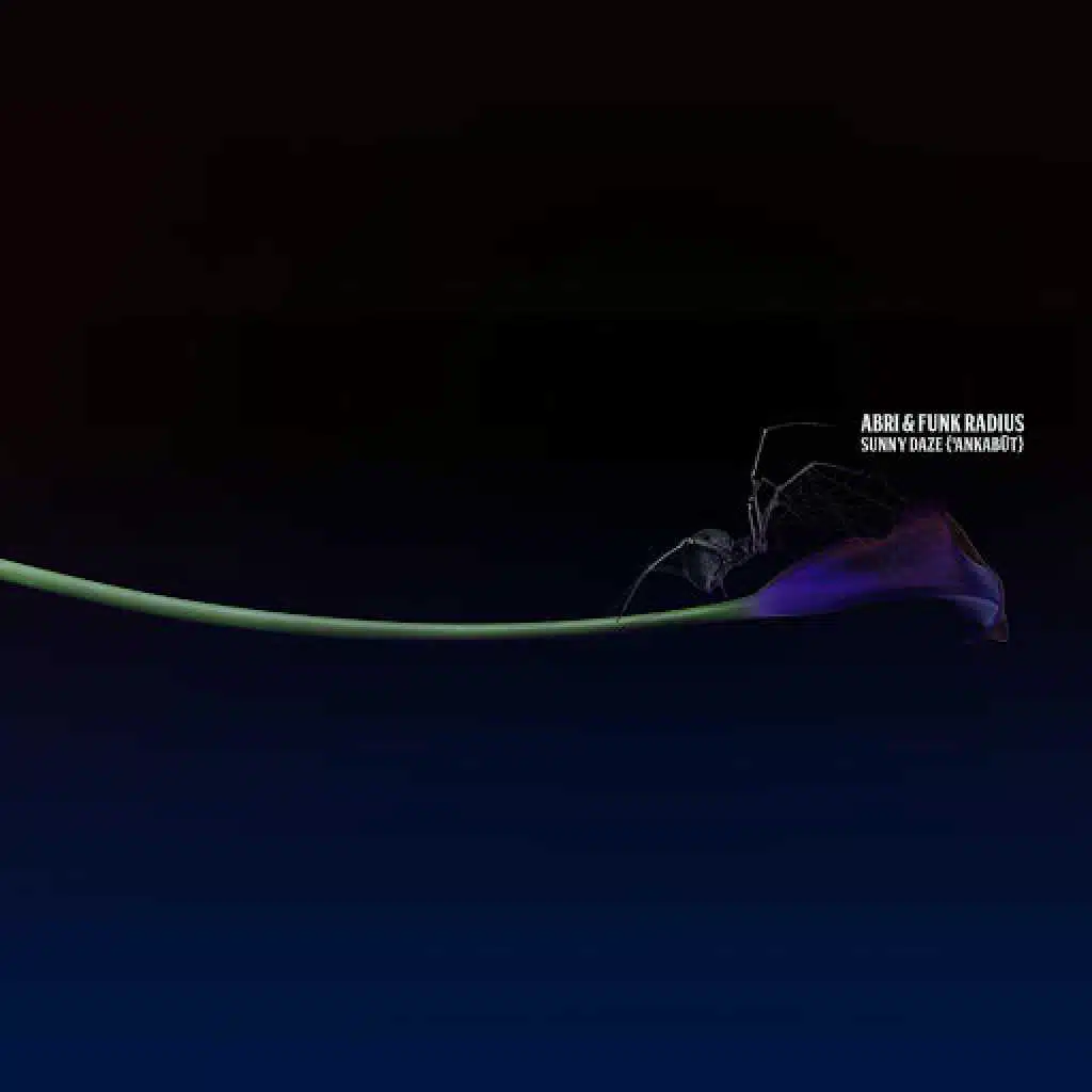 Sunny Daze (Ankabūt)