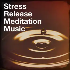 Stress release meditation music