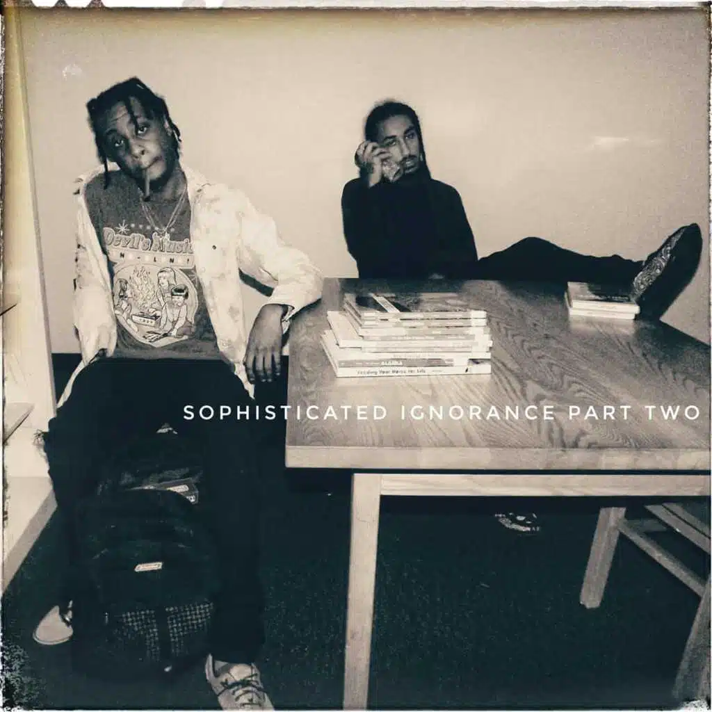 Sophisticated Ignorance 2
