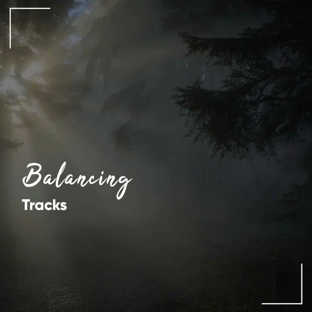 #20 Balancing Tracks for Spa & Relaxation