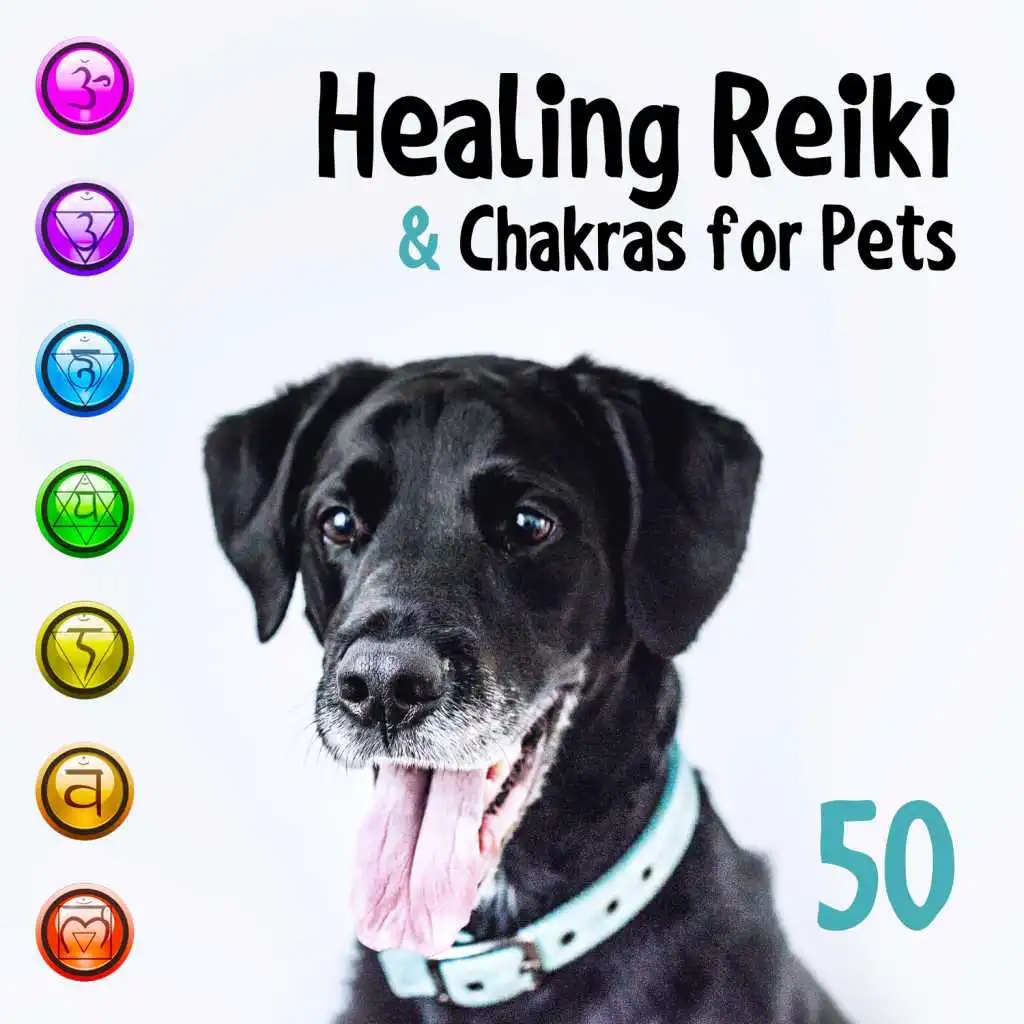 Healing Reiki & Chakras for Pets