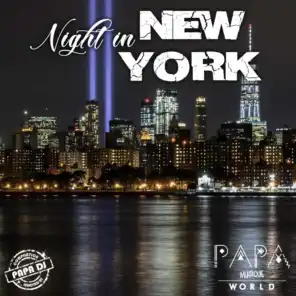 Night in New York