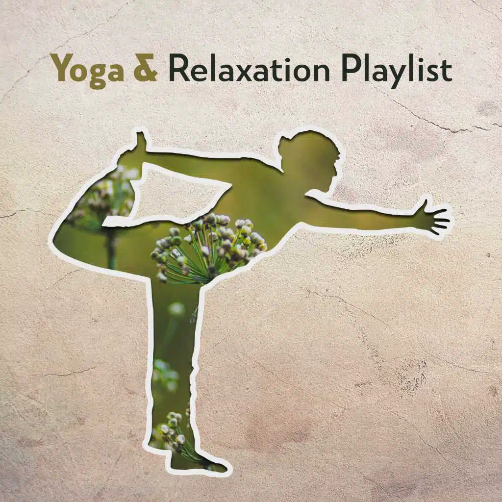 Yoga & Relaxation Playlist