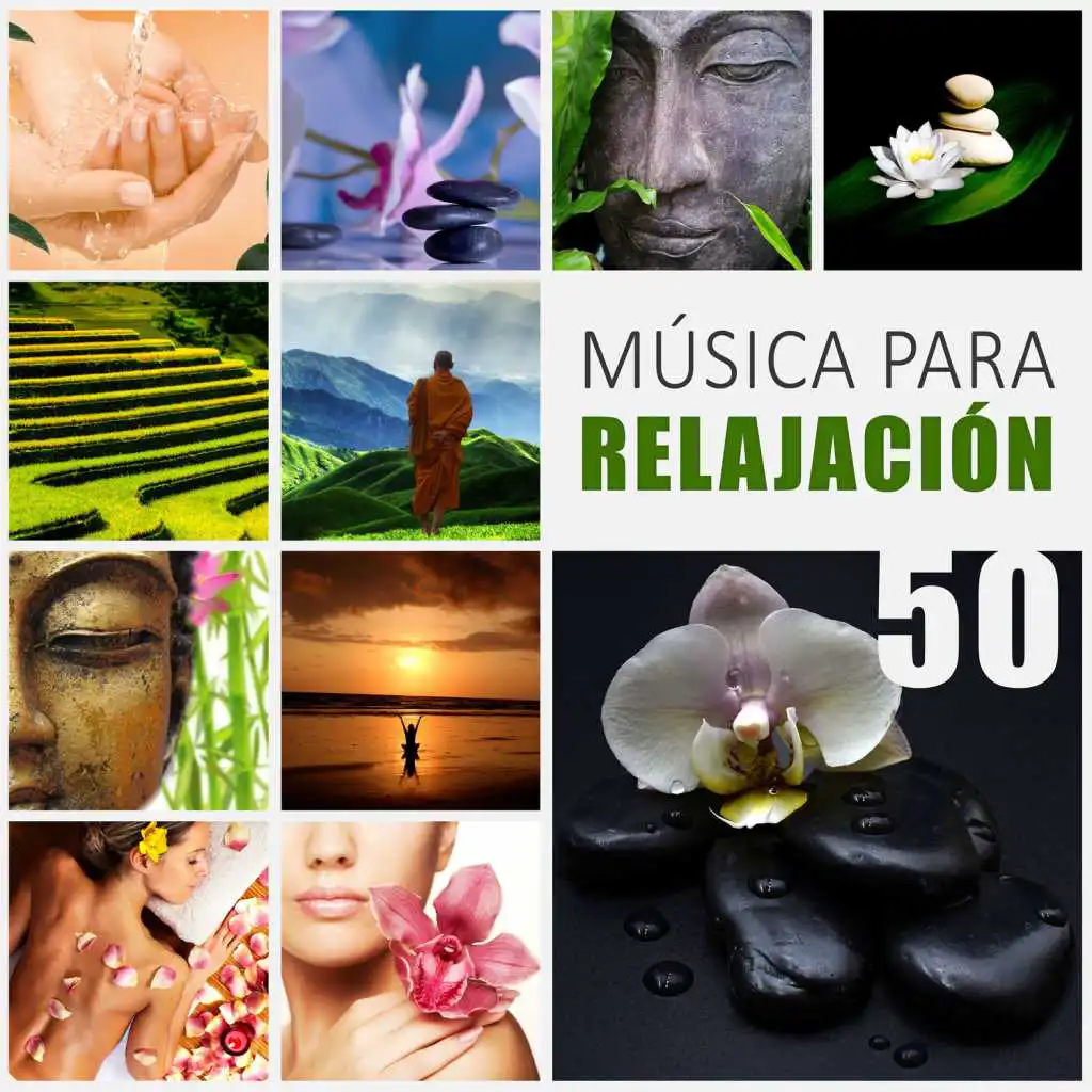 Musica para Meditar (Paz de Espirito)