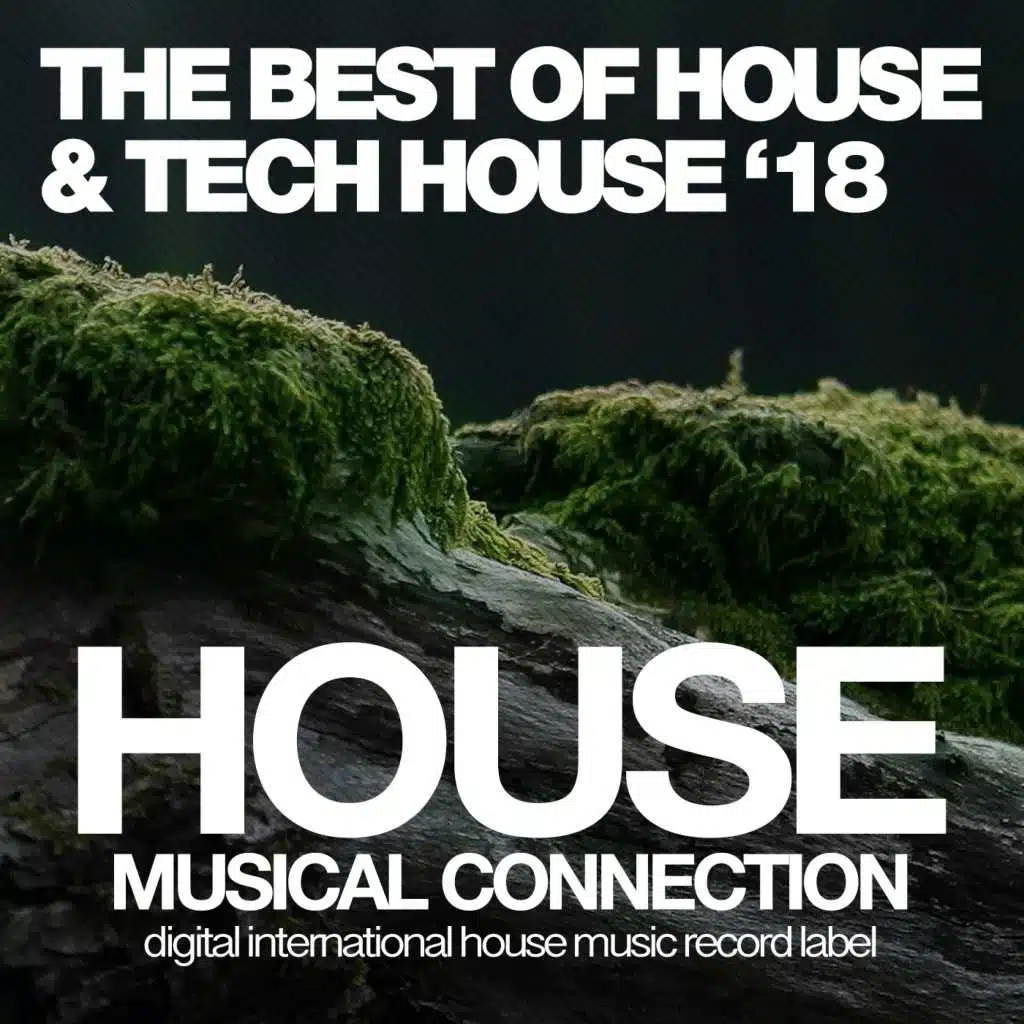 The Best of House & Tech House '18