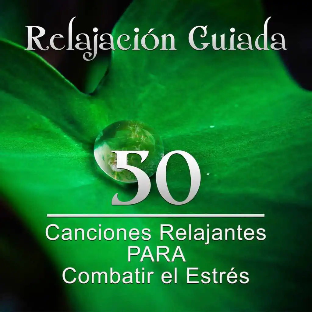 Relajación Guiada: 50 Canciones Relajantes para Combatir el Estrés y Control de la Ira, Meditación Profunda para Relajar la Mente y Sanar el Alma