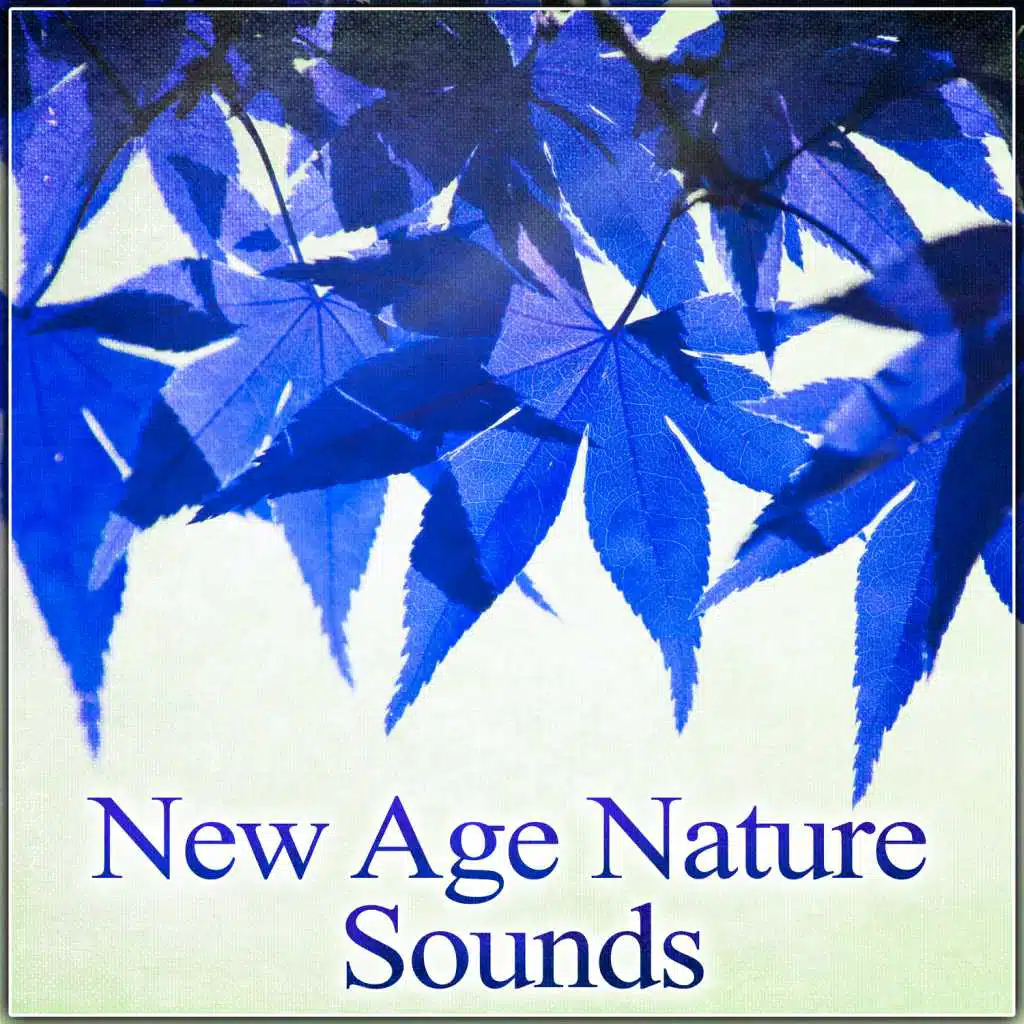 The Clouds Open Wide