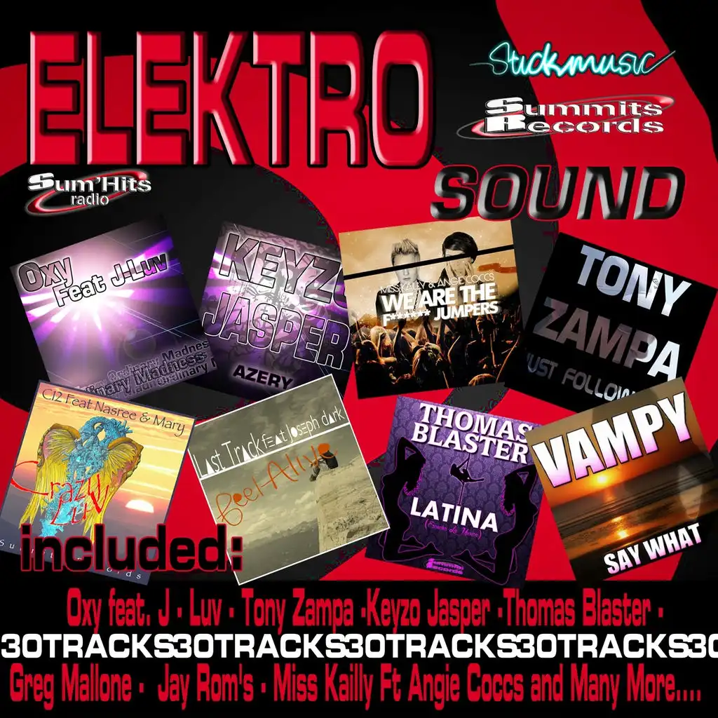 Elektro Sound 30 - Elektro Sound Sum'hits Radio