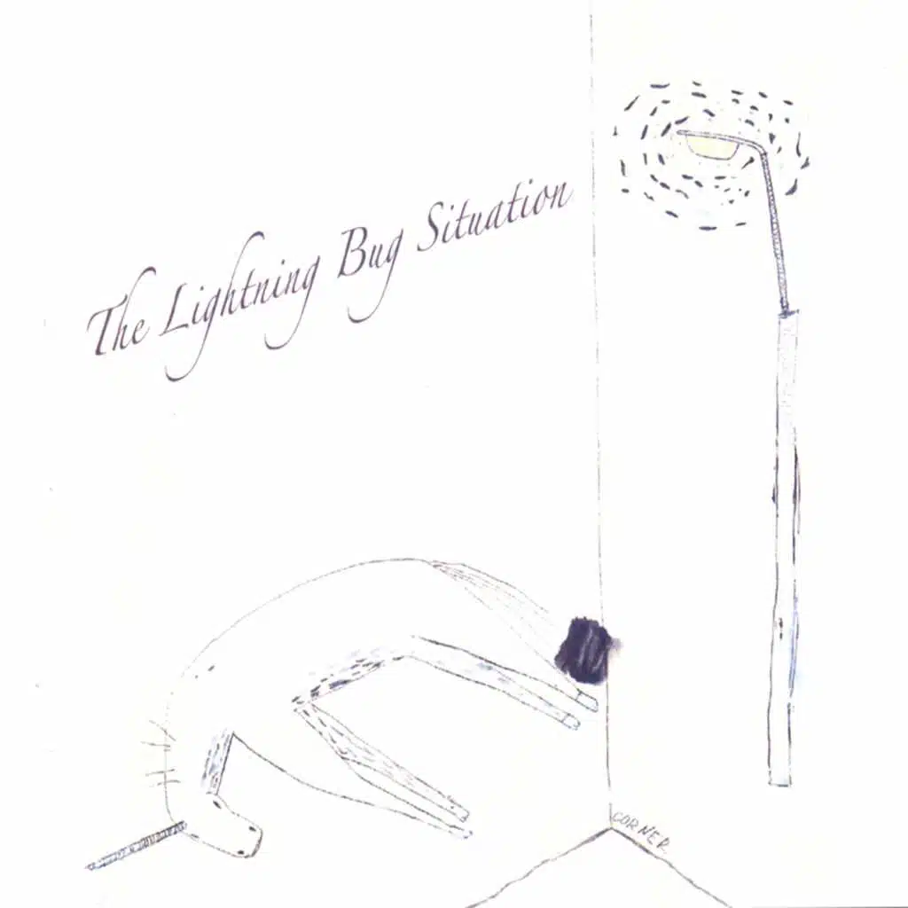 The Lightning Bug Situation