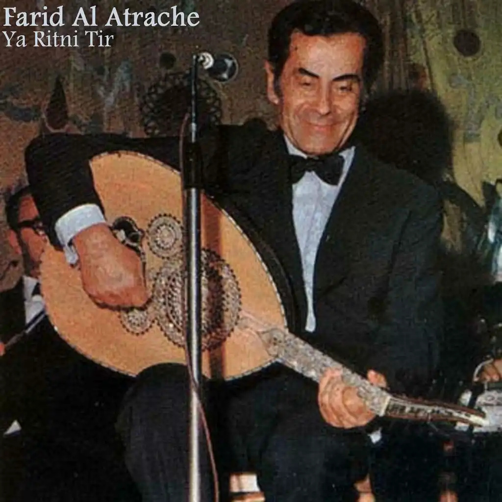 عمري ما حقدر انساكي