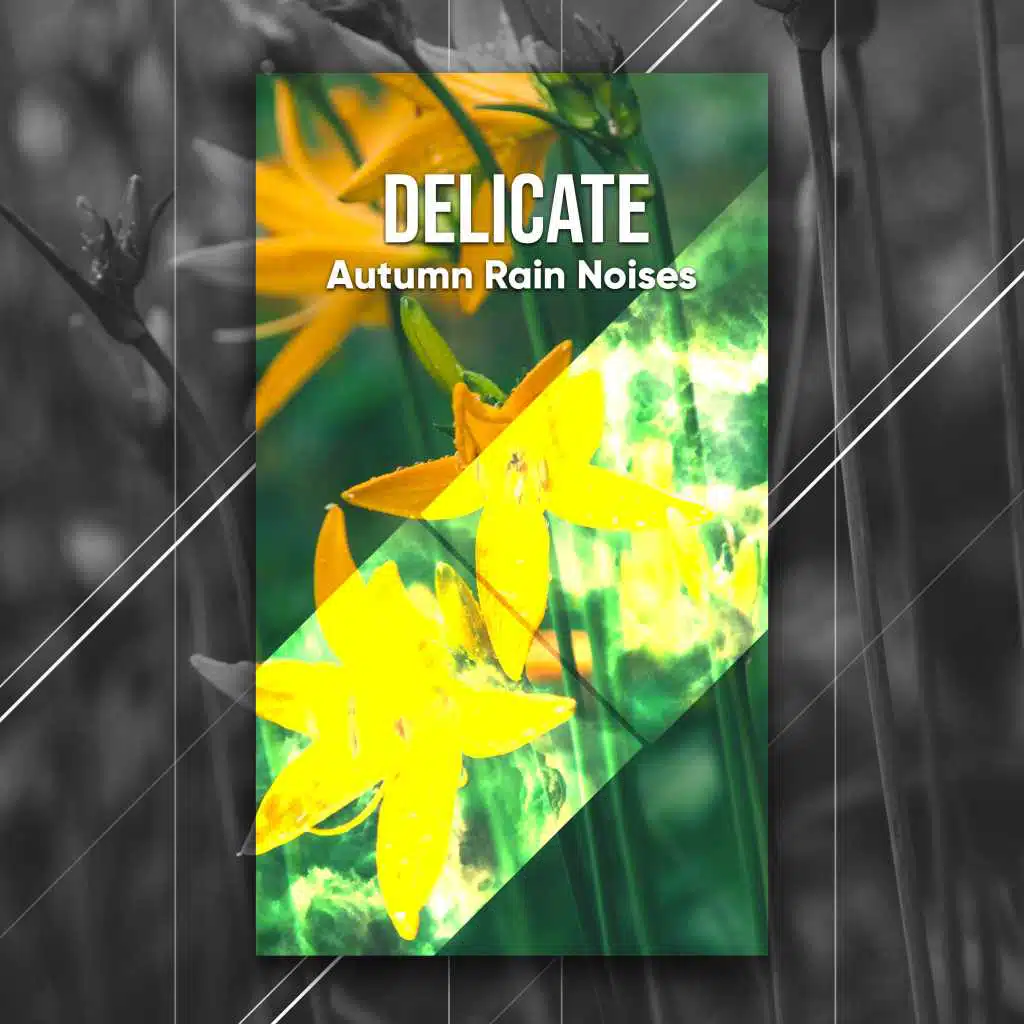 #18 Delicate Autumn Rain Noises