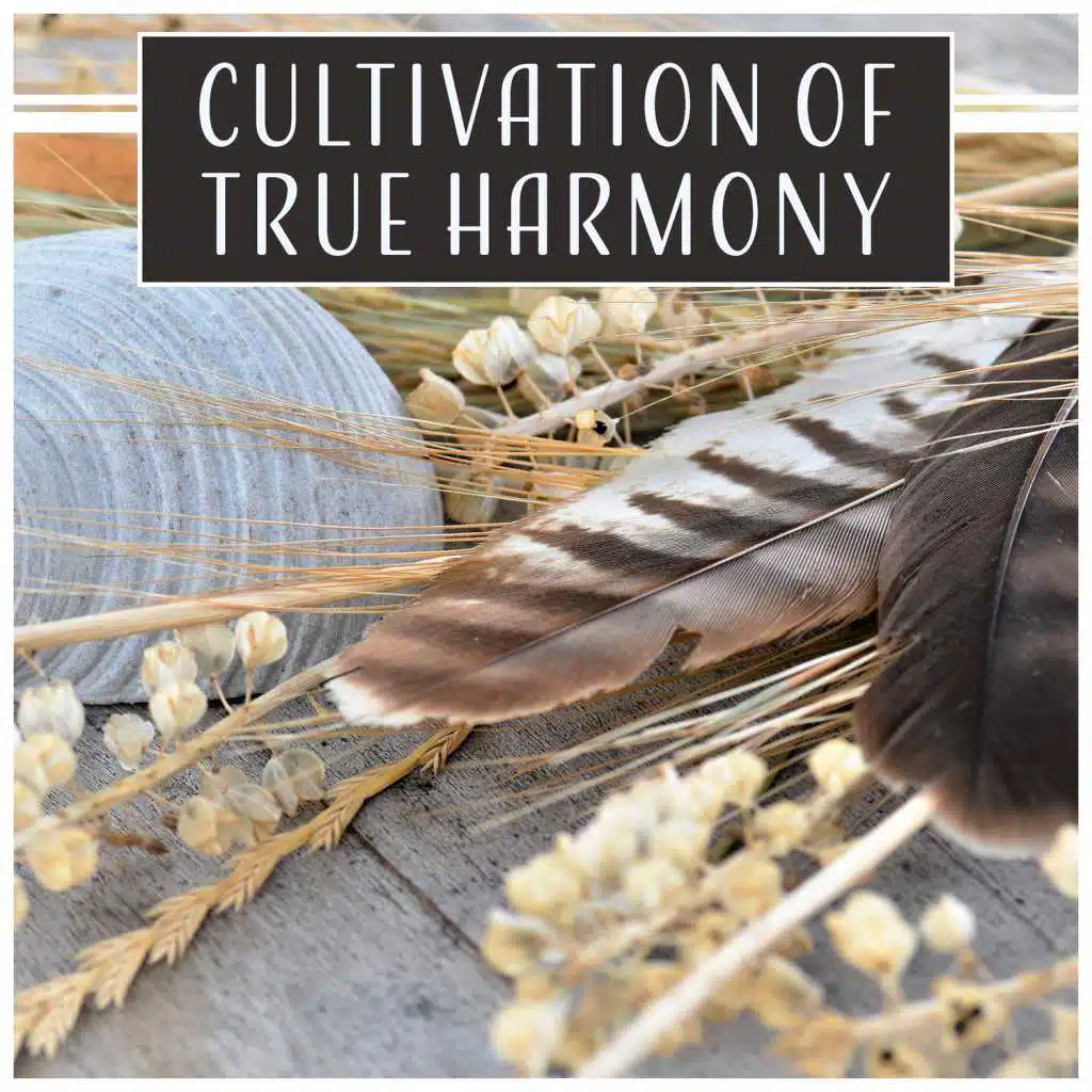 Cultivation of True Harmony – Total Relax Ambient, Meditation Mantra Yoga Music to Help with Anxiety & Panic