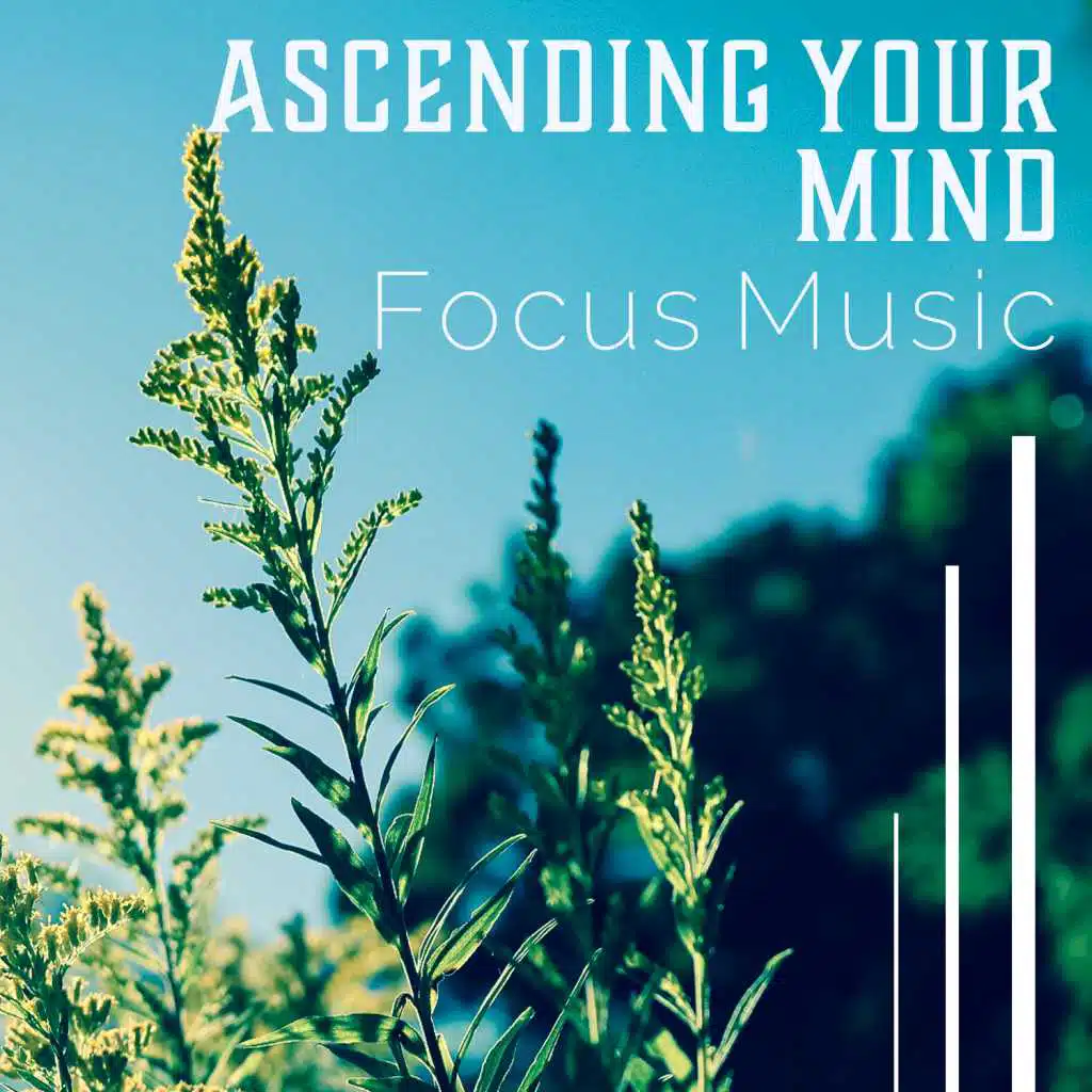 Ascending Your Mind – Focus Music, Unlock Your Study Potential, Memory Retention, Fast Learning, Brain Stimulation