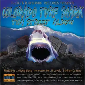 Colorado Turf Shark