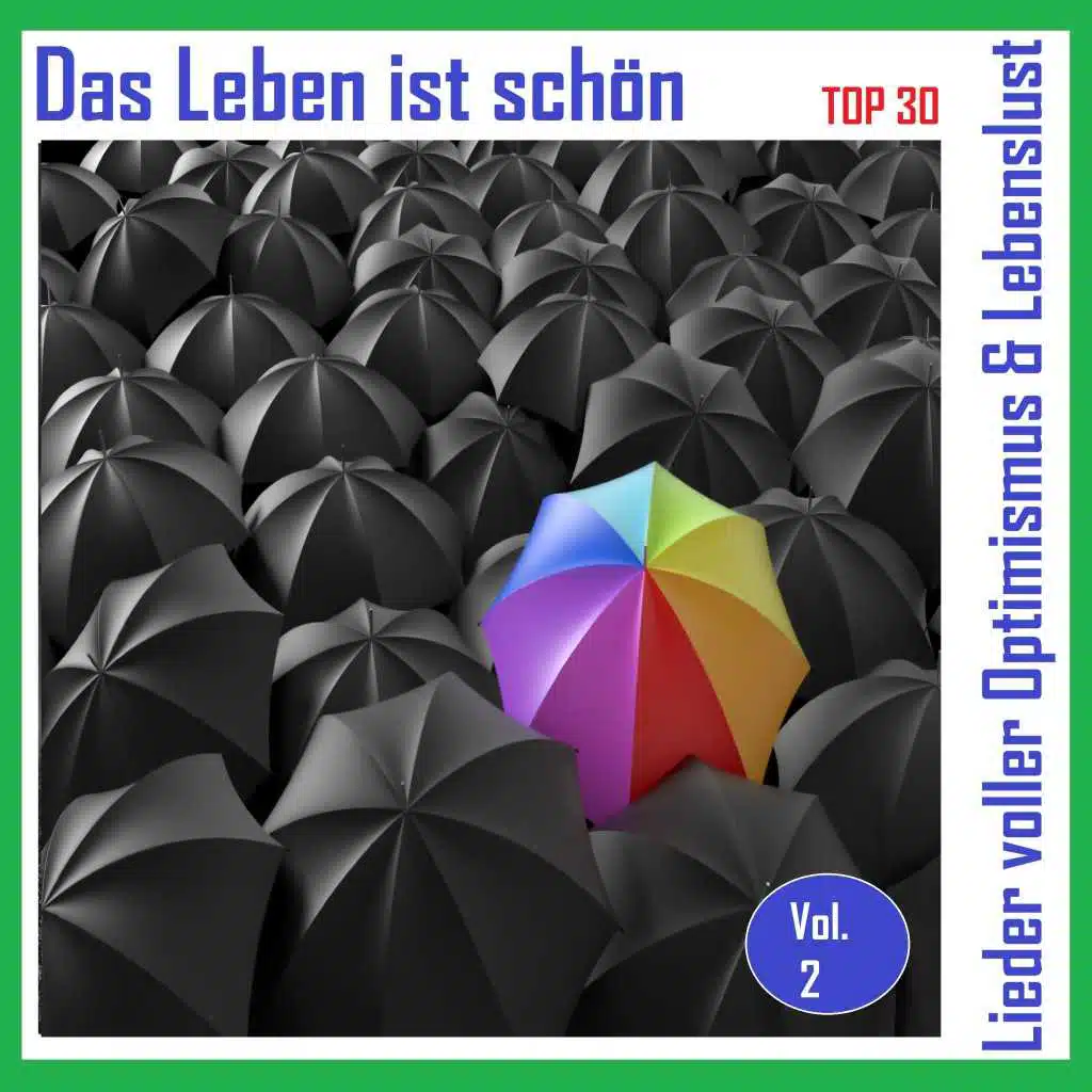 Top 30: Das Leben ist schön - Lieder voller Optimismus & Lebenslust, Vol. 2