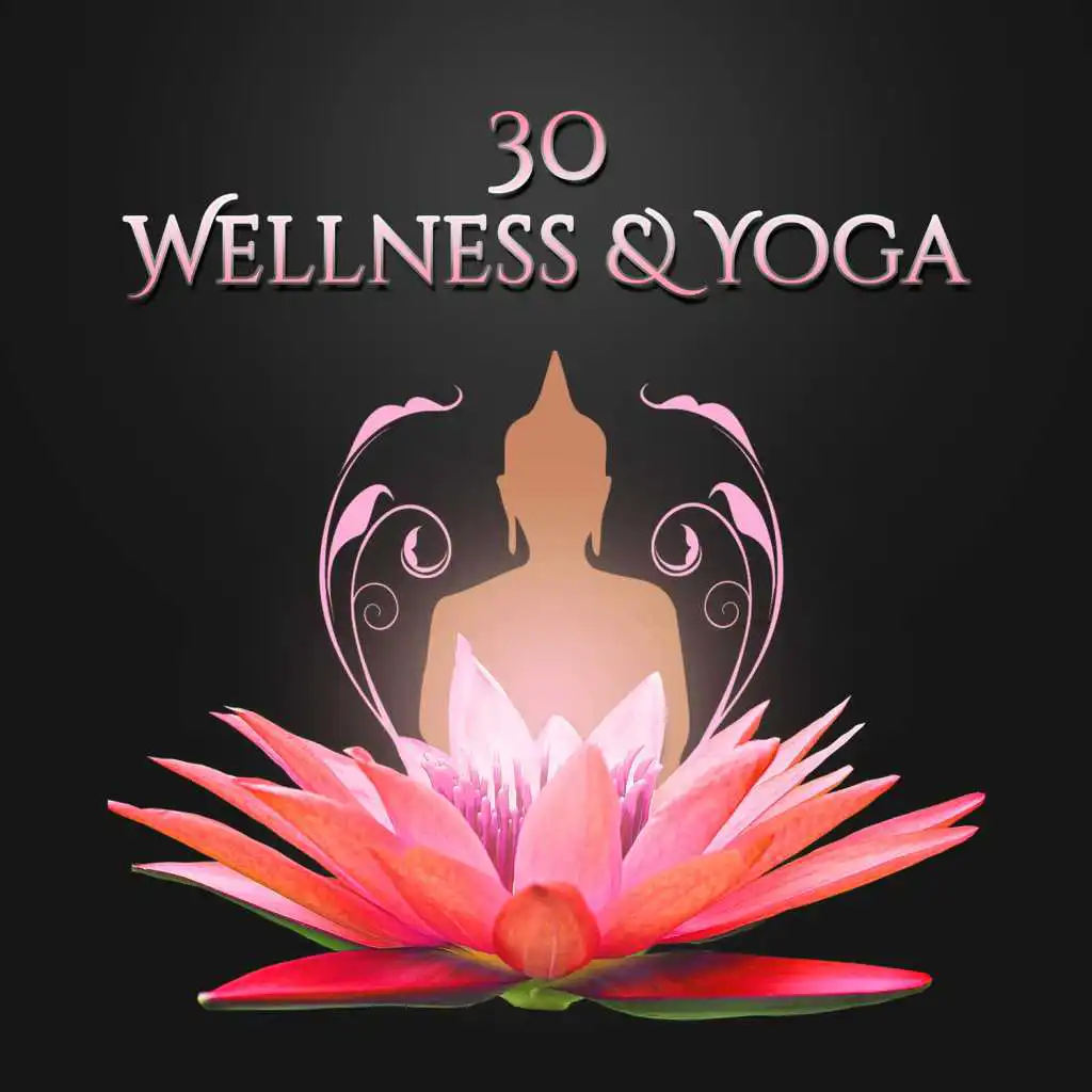 30 Wellness & Yoga: Moments of Relaxation, Serenity & Balance, Regeneration During Sleep, Massage Lounge Music, Yoga for Reduce Stress