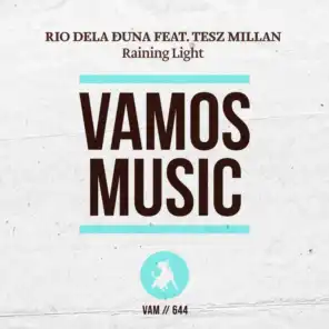 Raining Light (Da Funk Junkies Get Yo Funk On Mix) [feat. Tesz Millan]